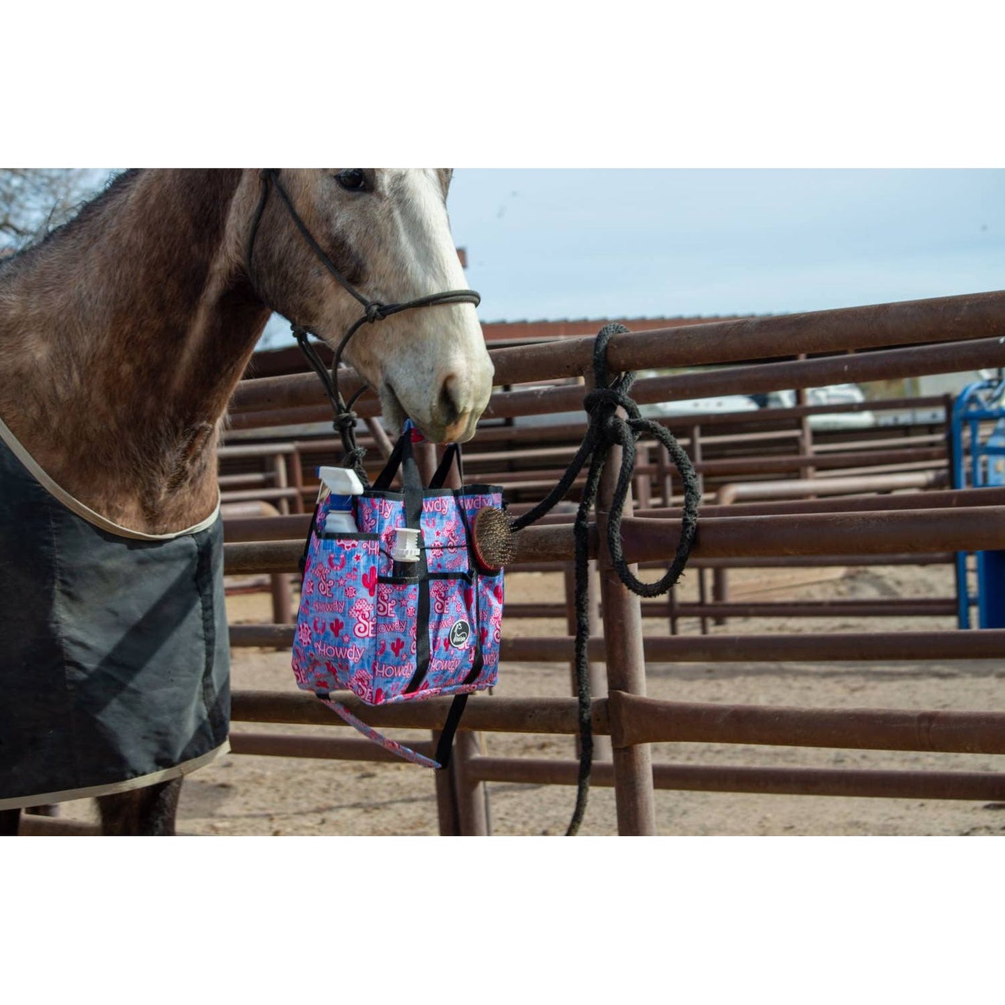 Grooming Tote