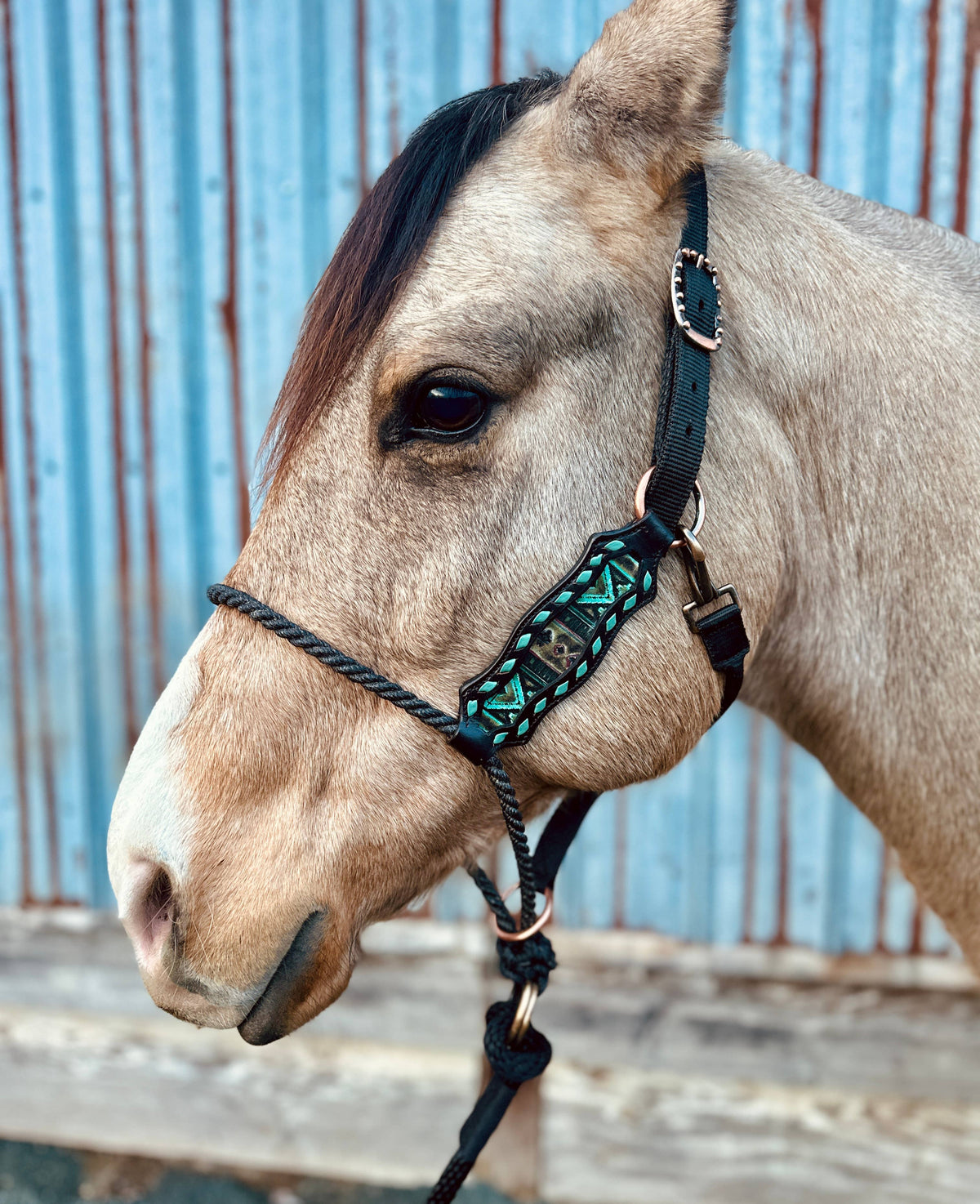 Lariat Nose Halter