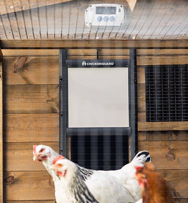 ChickenGuard Automatic Coop Door Opener & Self-Locking Door