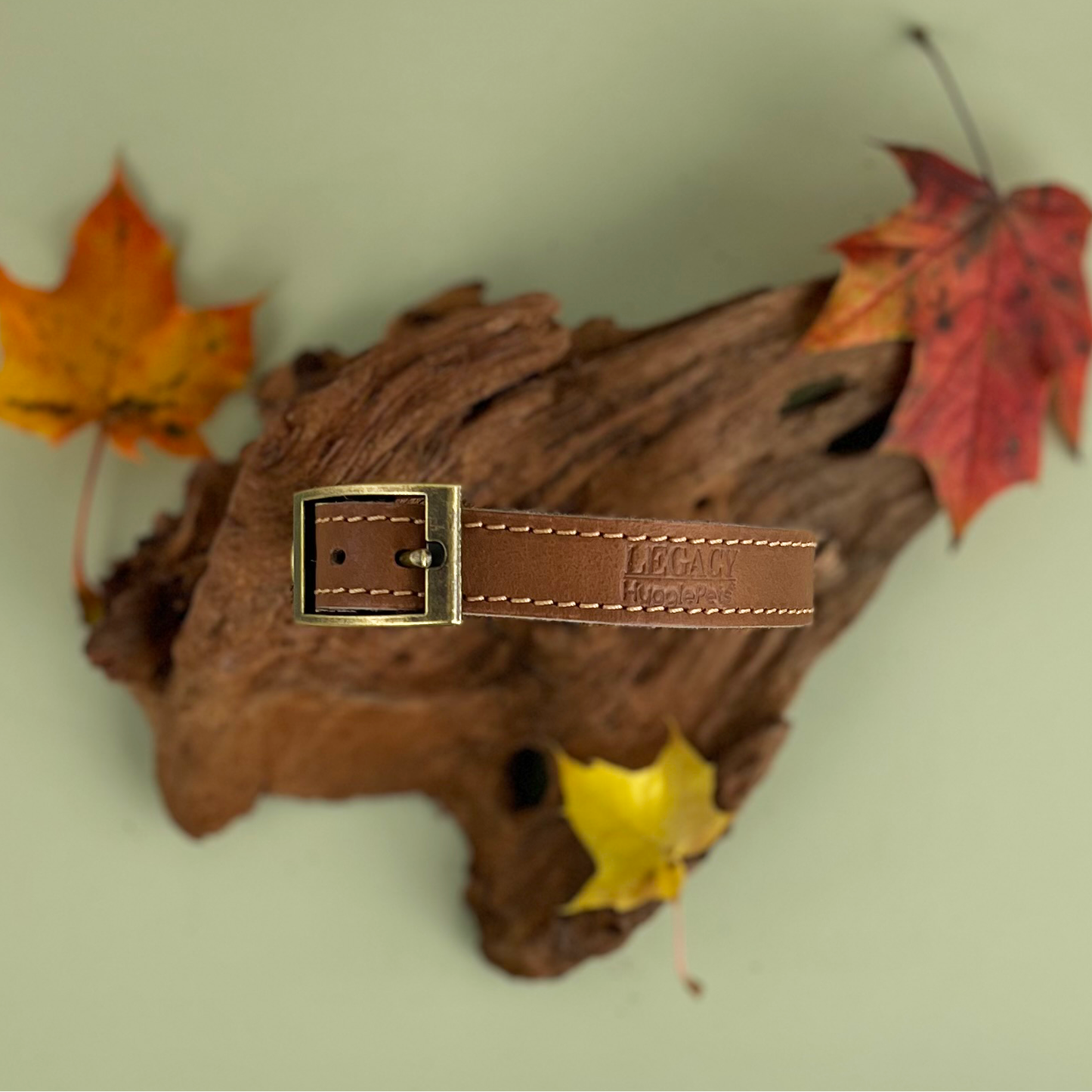 HugglePets Legacy Leather Dog Collar
