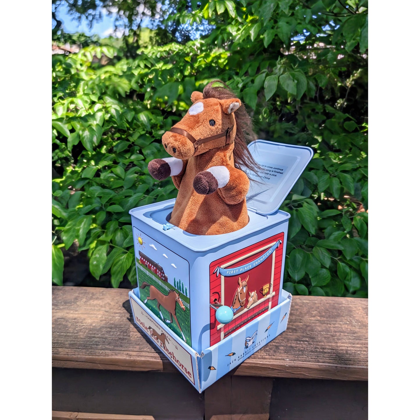 Rosie the Racehorse Jack in the Box