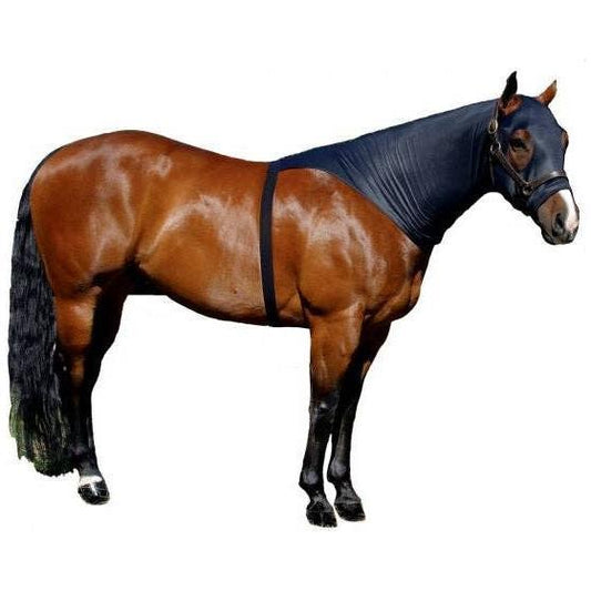 Smart Horse Gear - Sleazy Brief