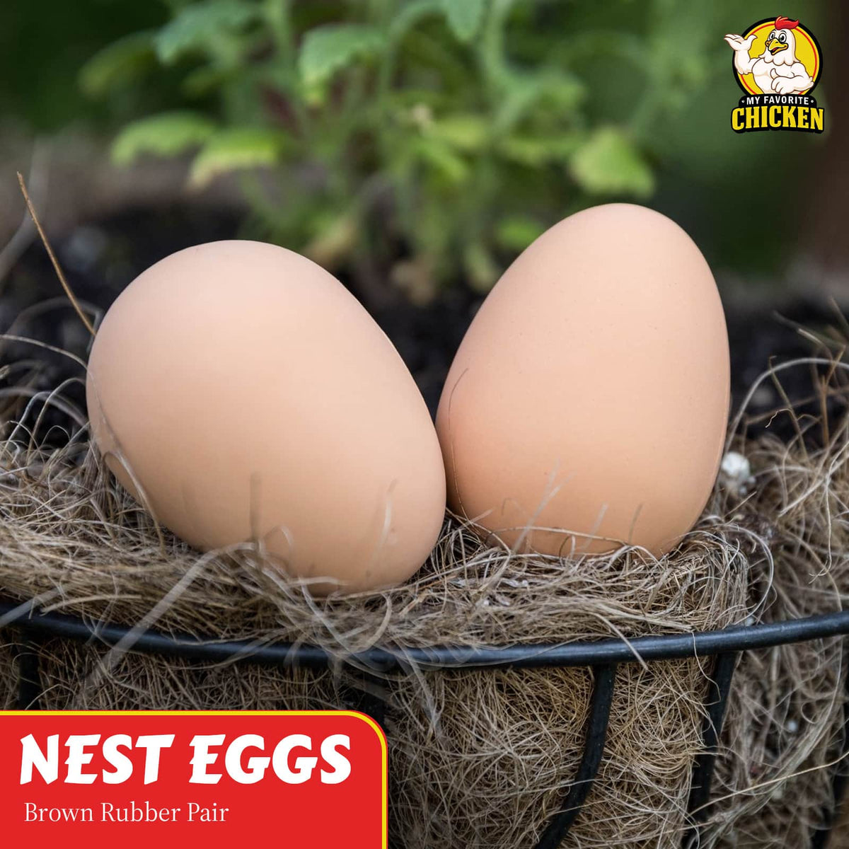Brown Rubber Chicken Nest Eggs, Pair | Durable Nest Box Training Eggs