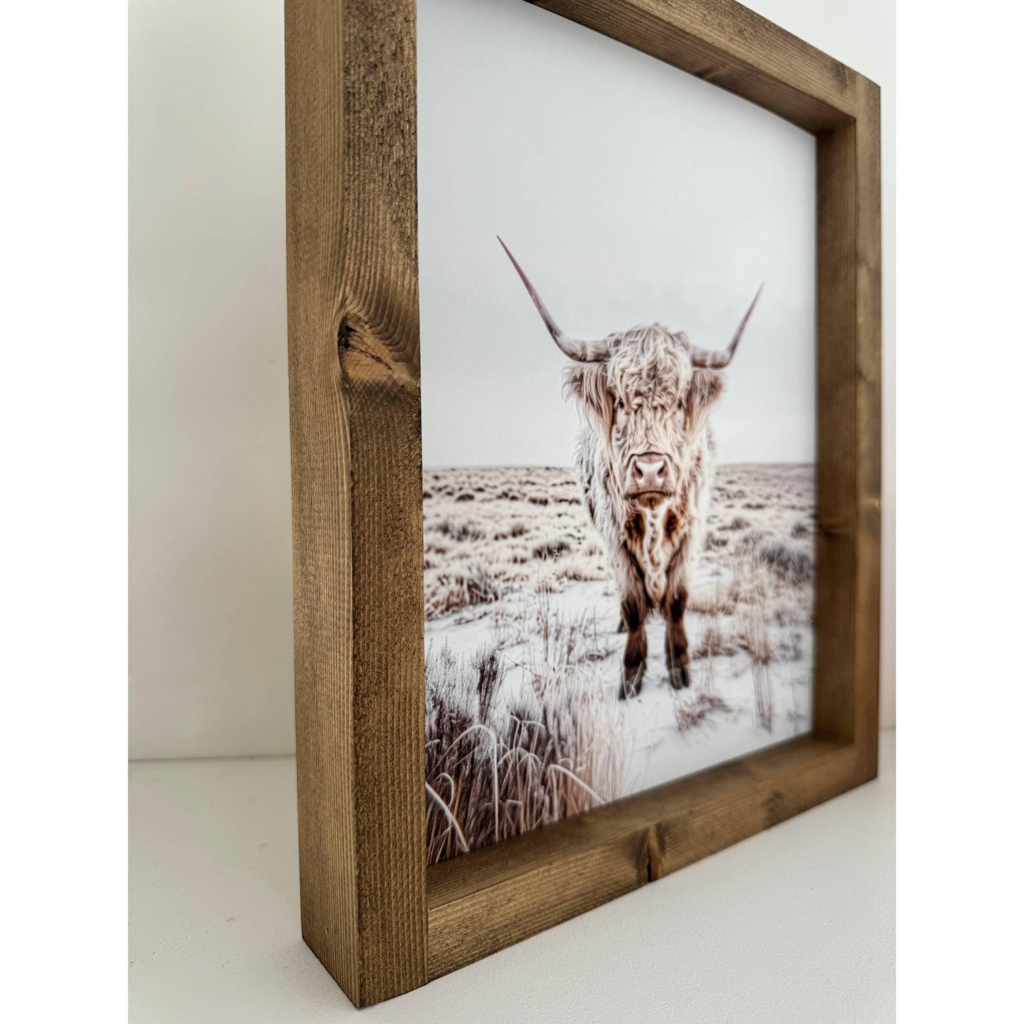 Ashwood Designs - Highland Cow print 2