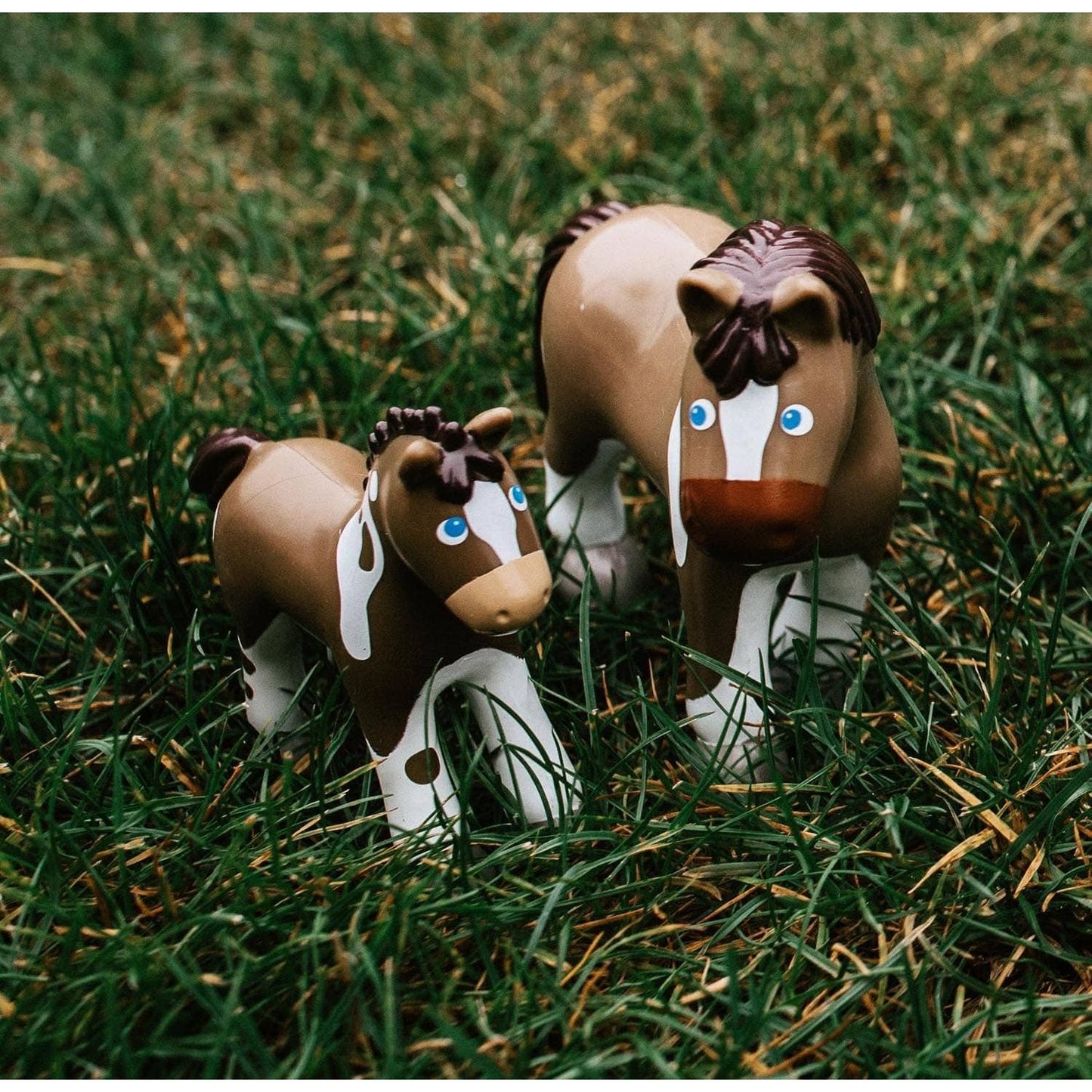 Little Friends Horse Tara