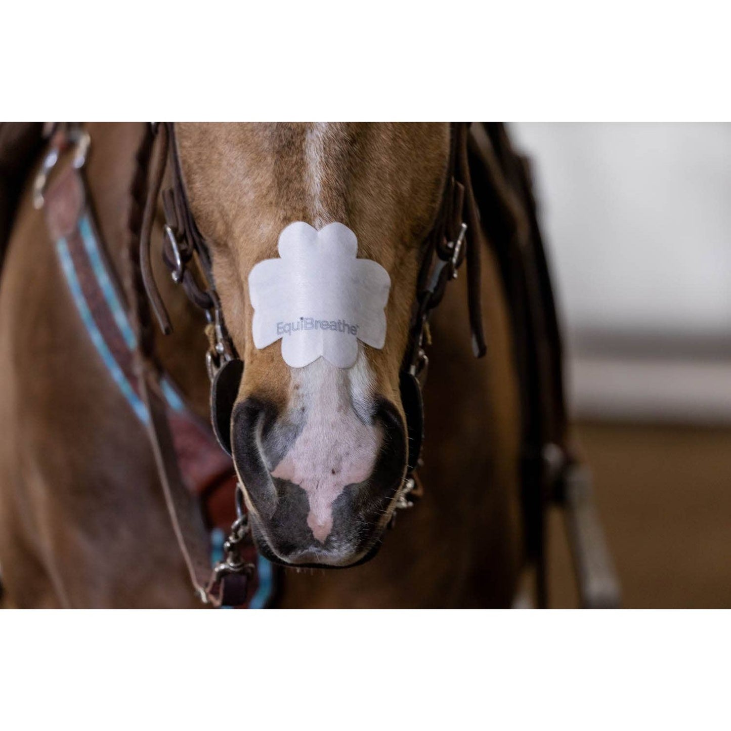 EquiBreathe™ Equine Nasal Patch - White