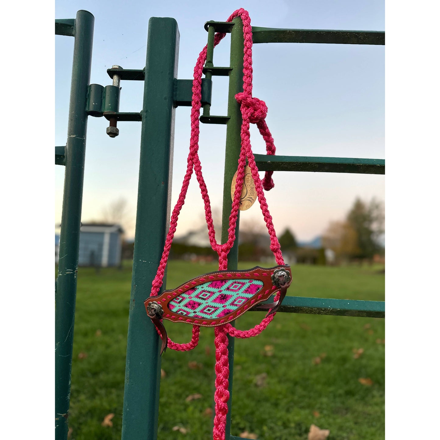 Braided Bronc Halter