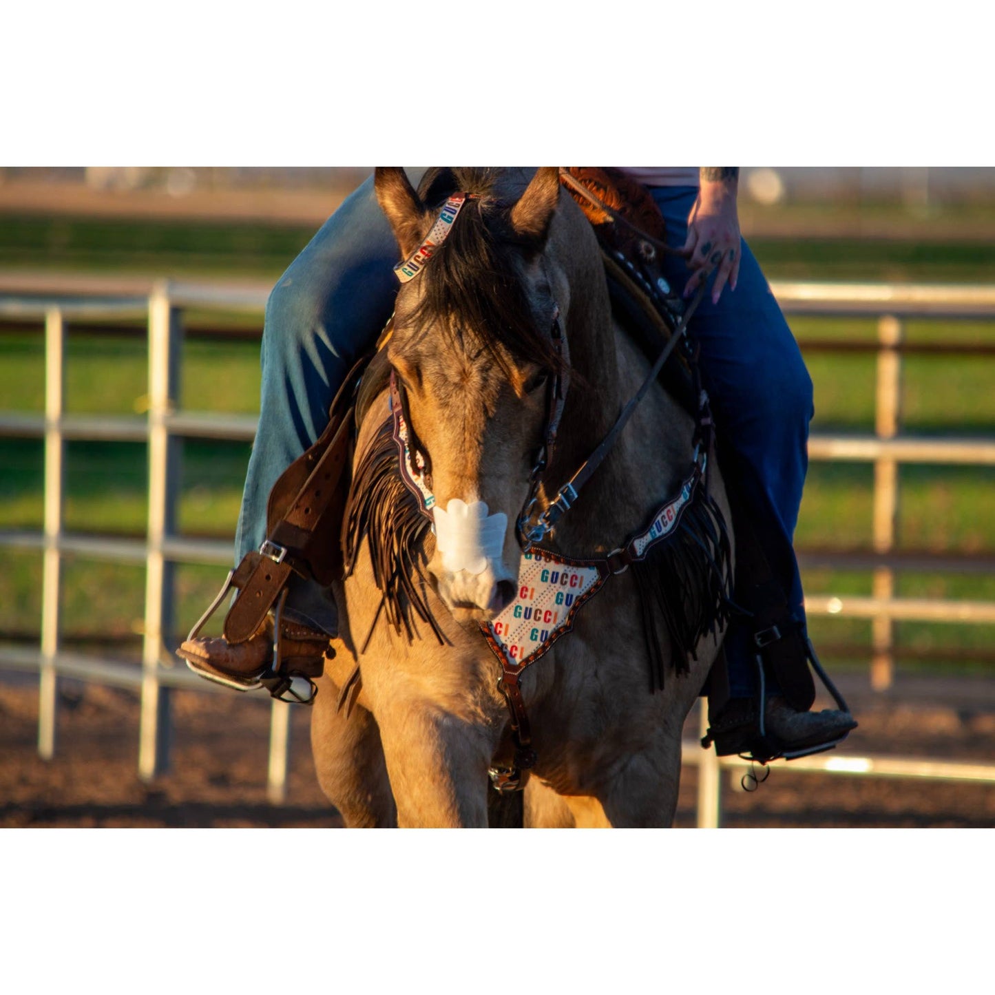 EquiBreathe™ Equine Nasal Patch - White