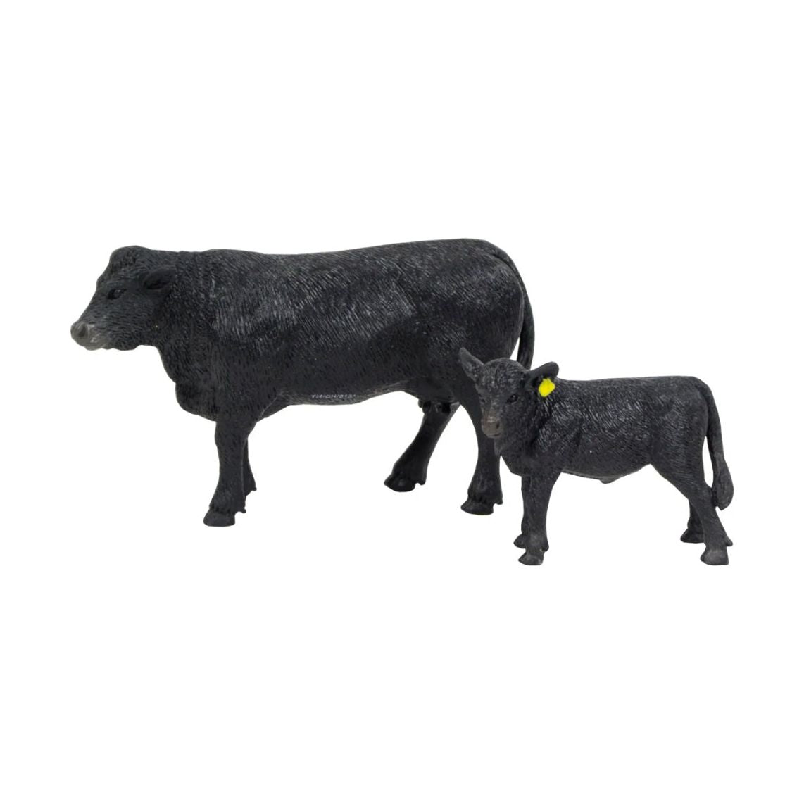 Angus Cow & Calf