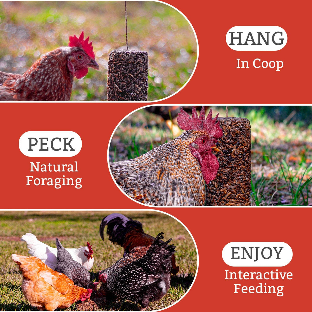 Chicken Treat on a String, Peck Away Grub, 9.87oz