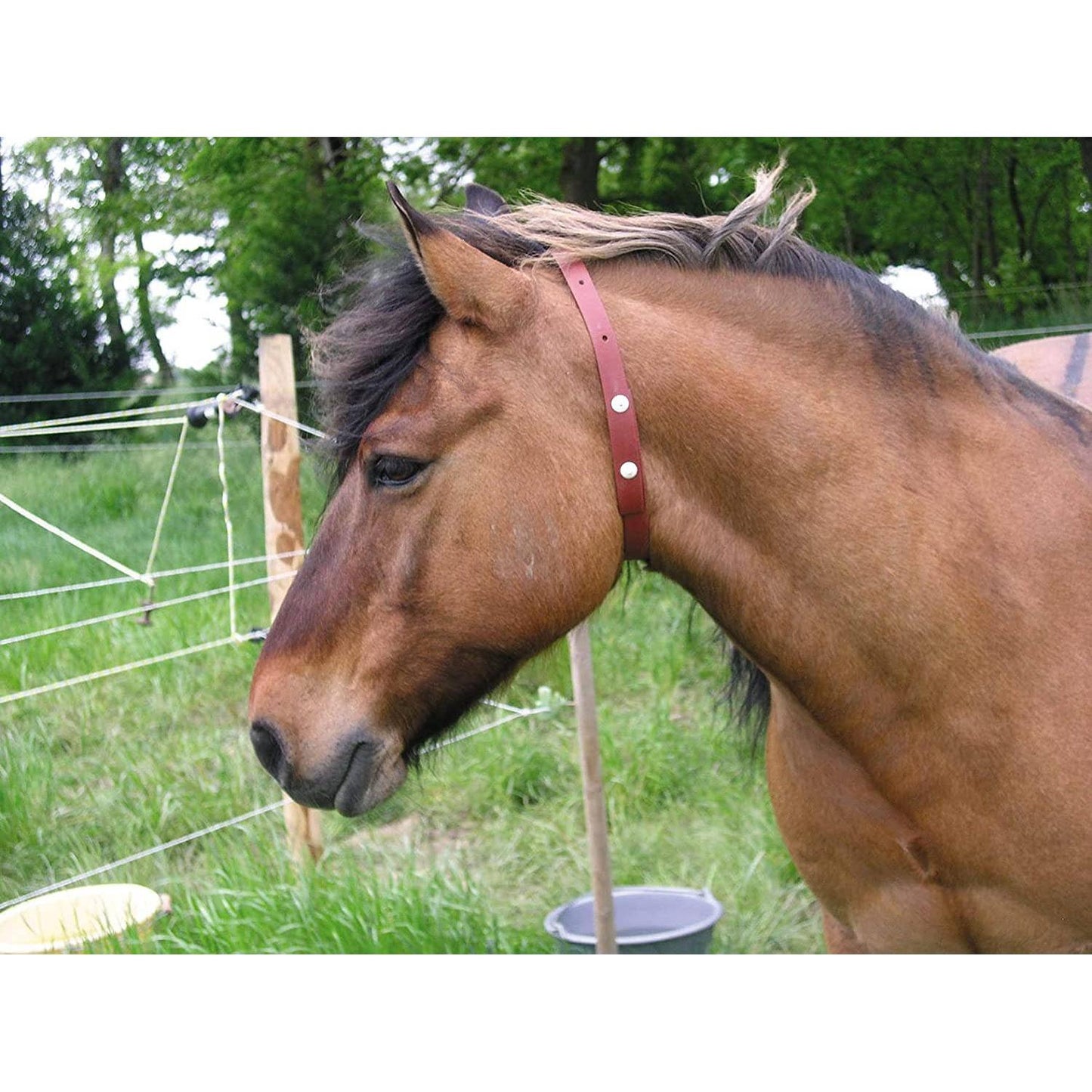 ALZOO - ALZOO™ Herbal Horse Collar