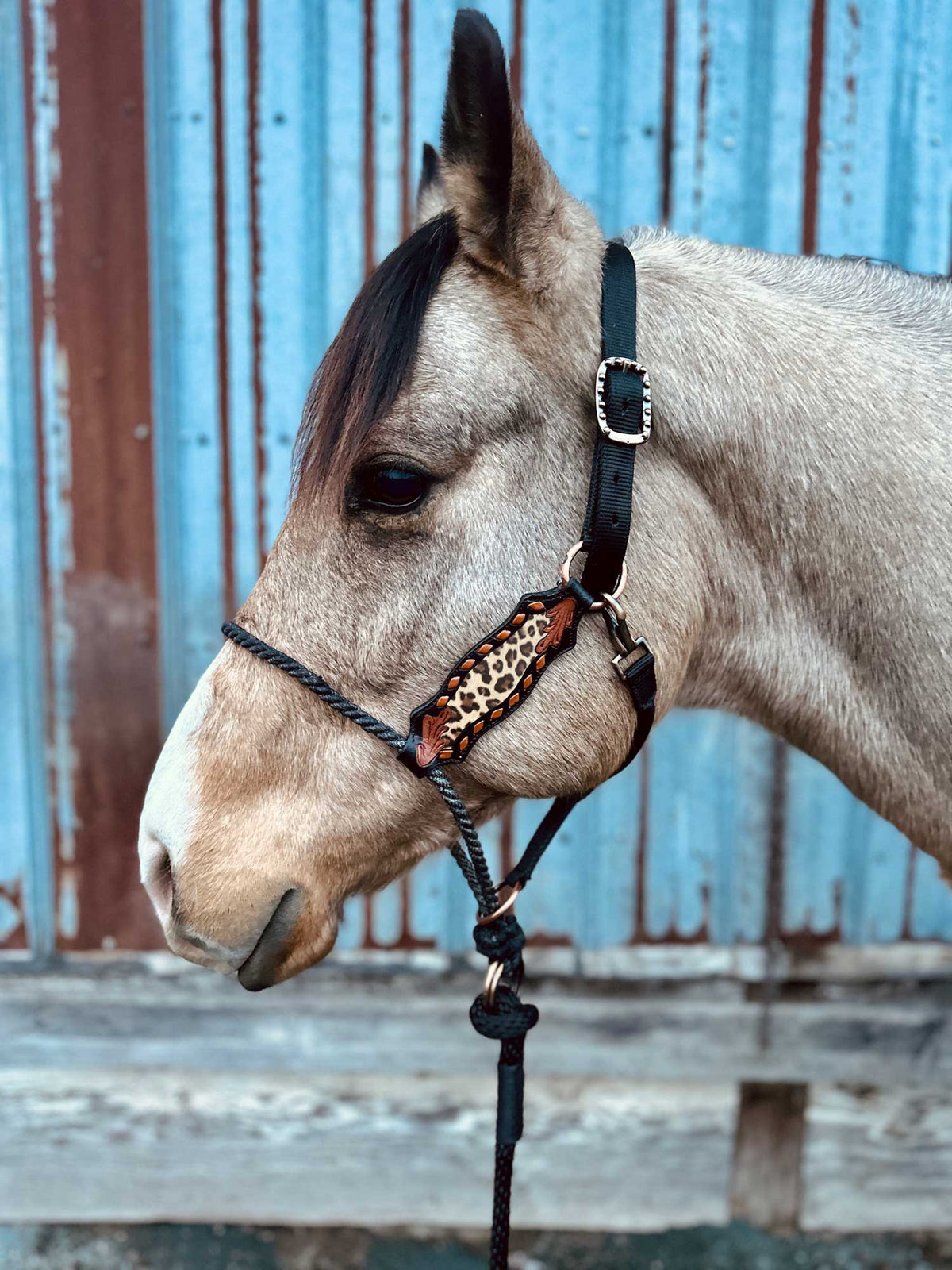 Lariat Nose Halter