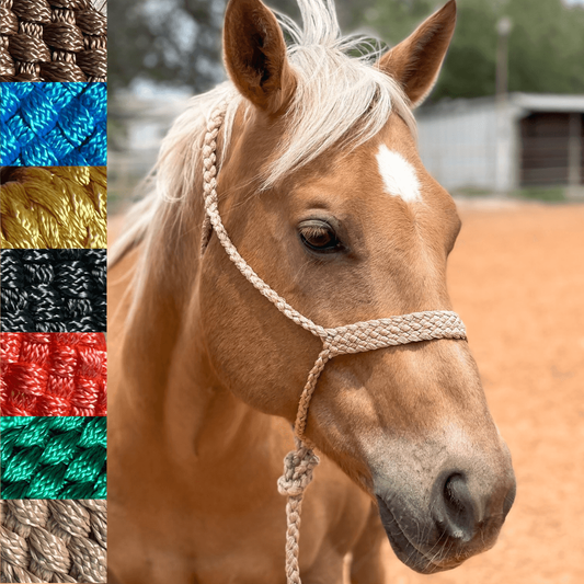Rodeo Drive - Mule Tape Halters - Assorted Colors