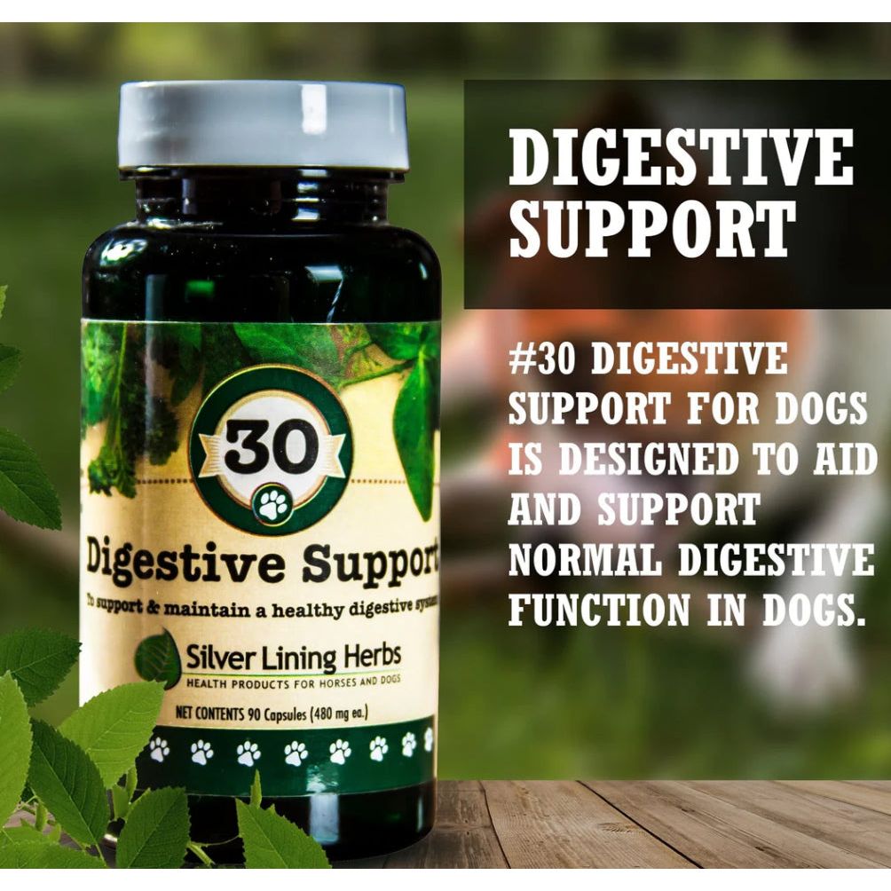Silver Lining Digestive Support for Dogs 90 Capsules