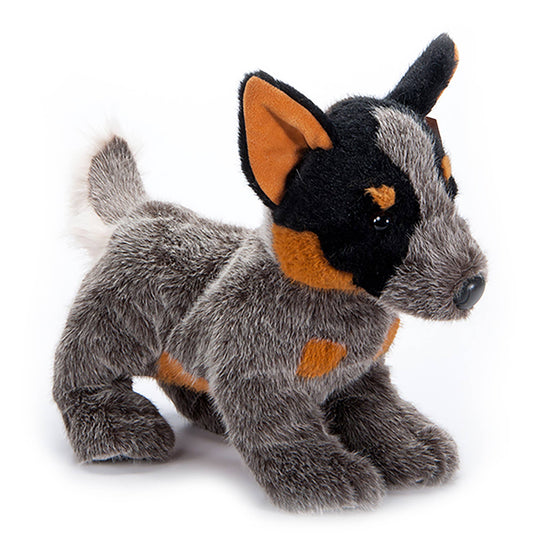 New Australian Cattle Dog Medium