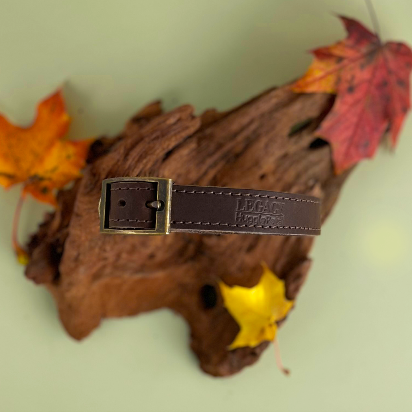 HugglePets Legacy Leather Dog Collar