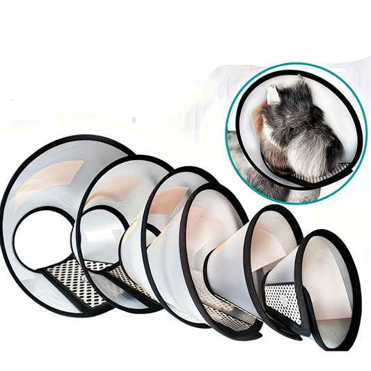 Recovery Collar