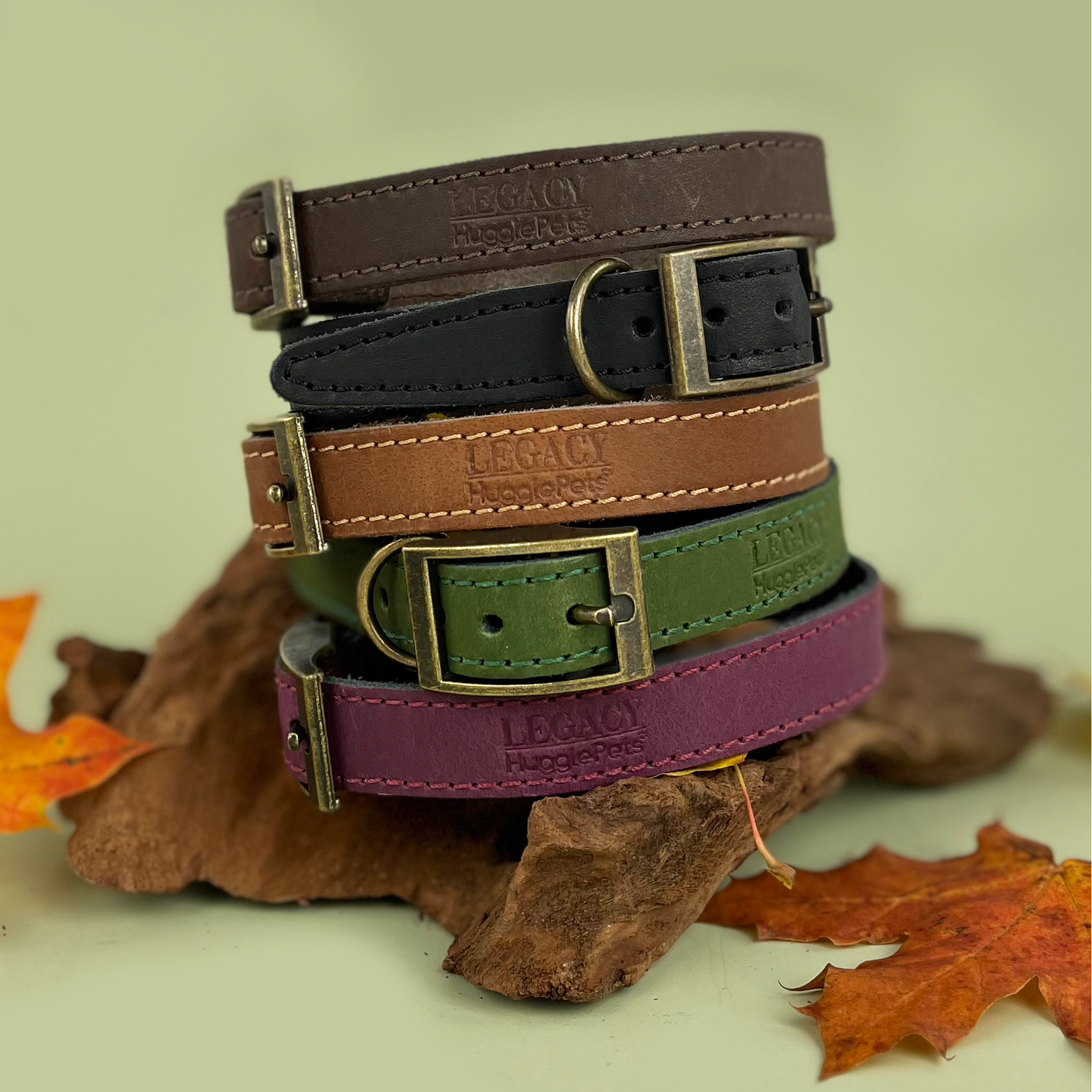 HugglePets Legacy Leather Dog Collar