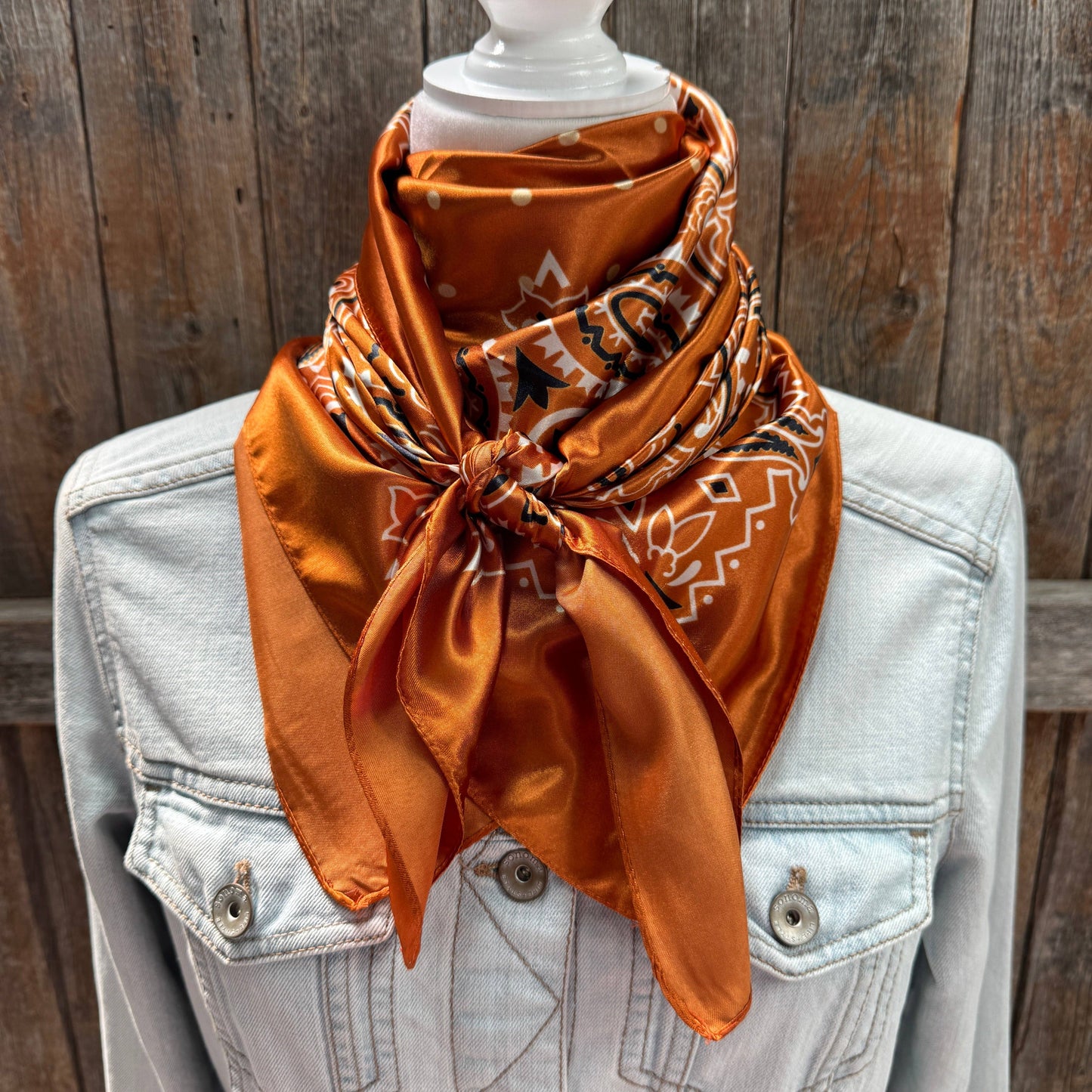 Rust Paisley Wild Rag - Western Scarf