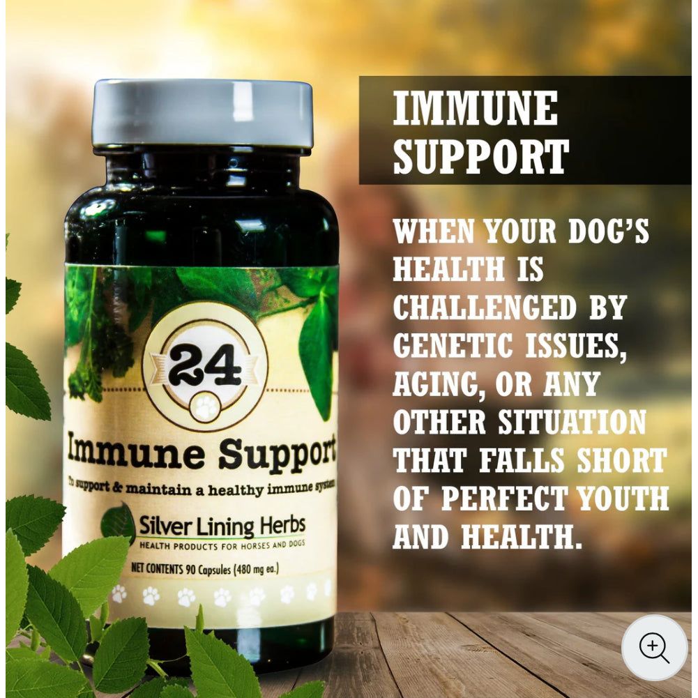 Silver Lining Immune Support for Dogs 90 Capsules