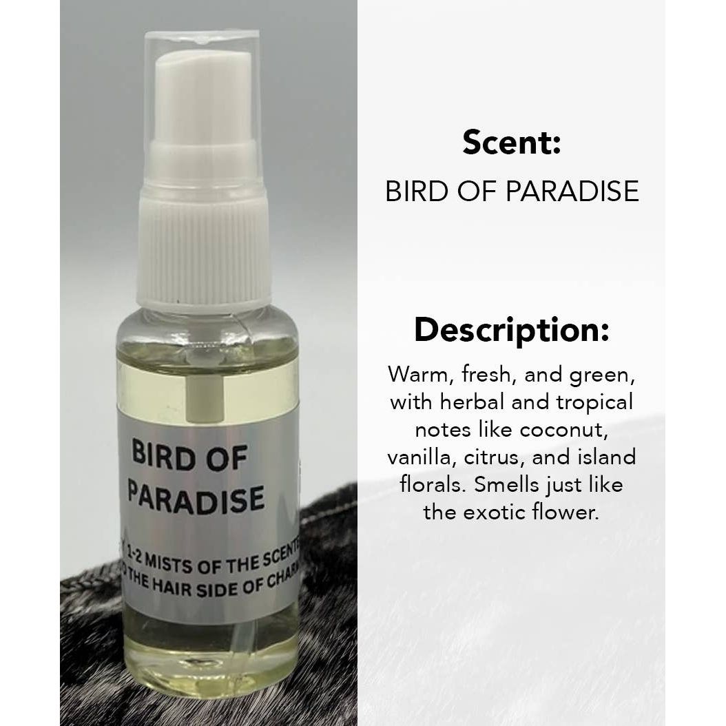 SCENTED OIL PACKAGED