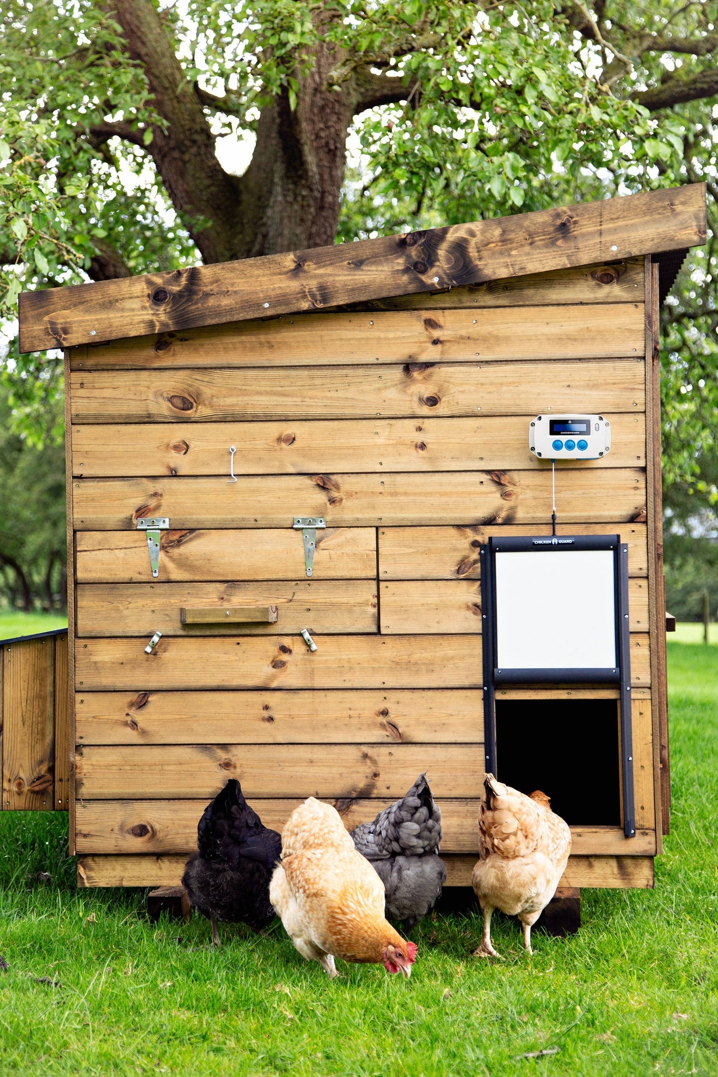 ChickenGuard Automatic Coop Door Opener & Self-Locking Door