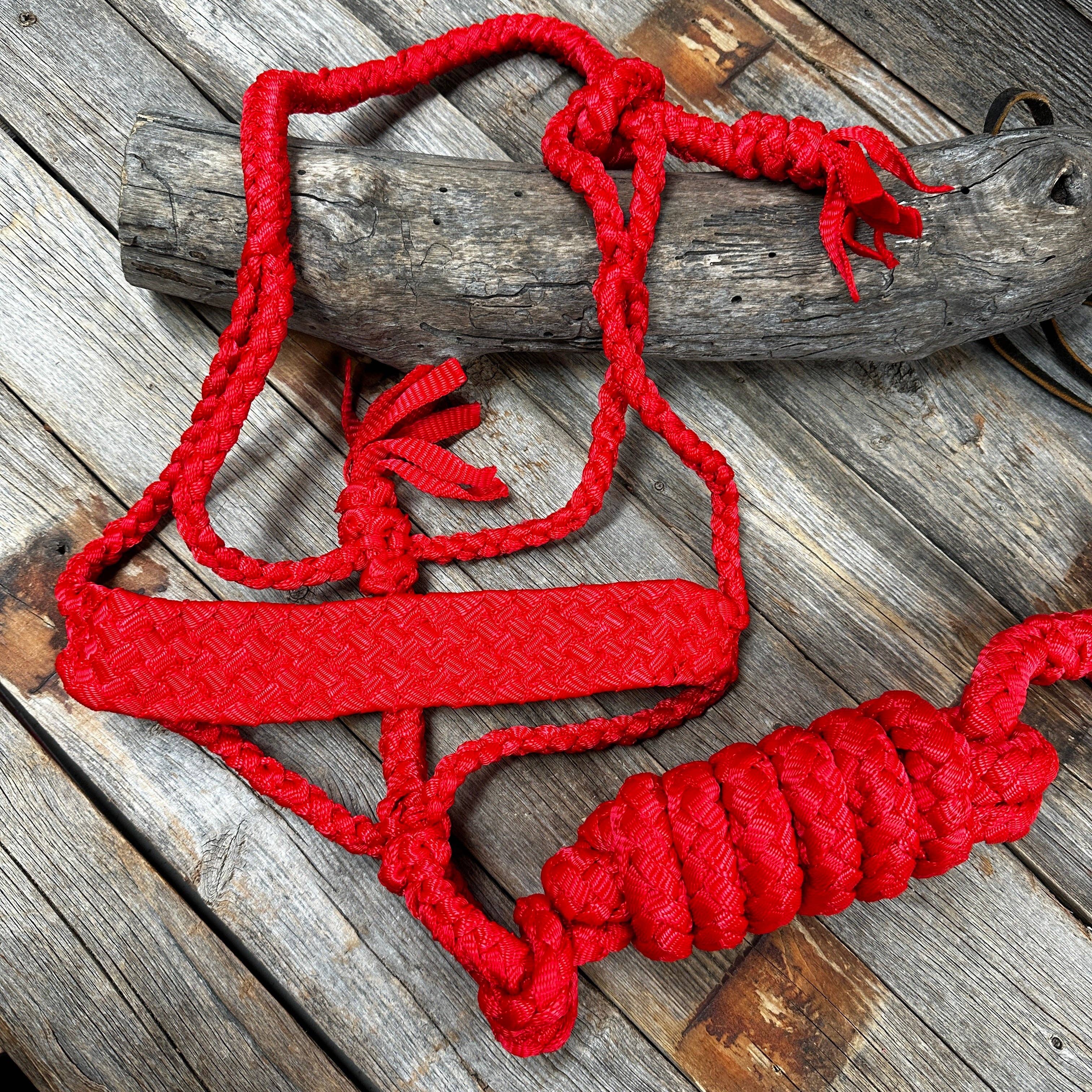 Red Flat Braided Mule Tape Halter