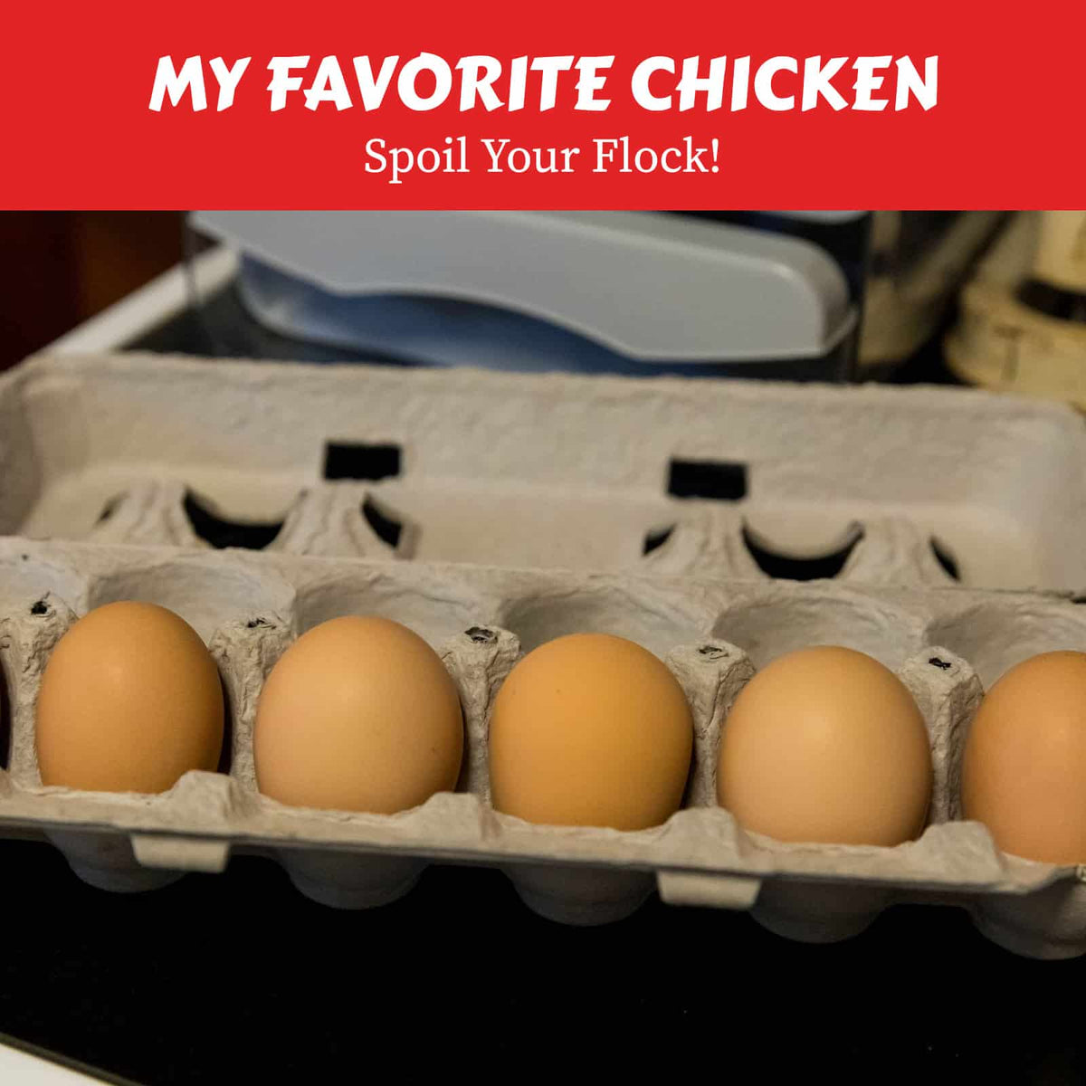 Brown Rubber Chicken Nest Eggs, Pair | Durable Nest Box Training Eggs