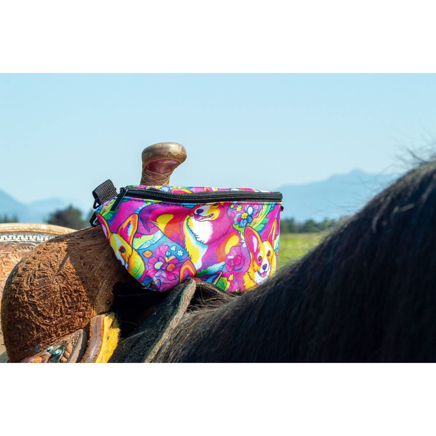 Saddle Pak