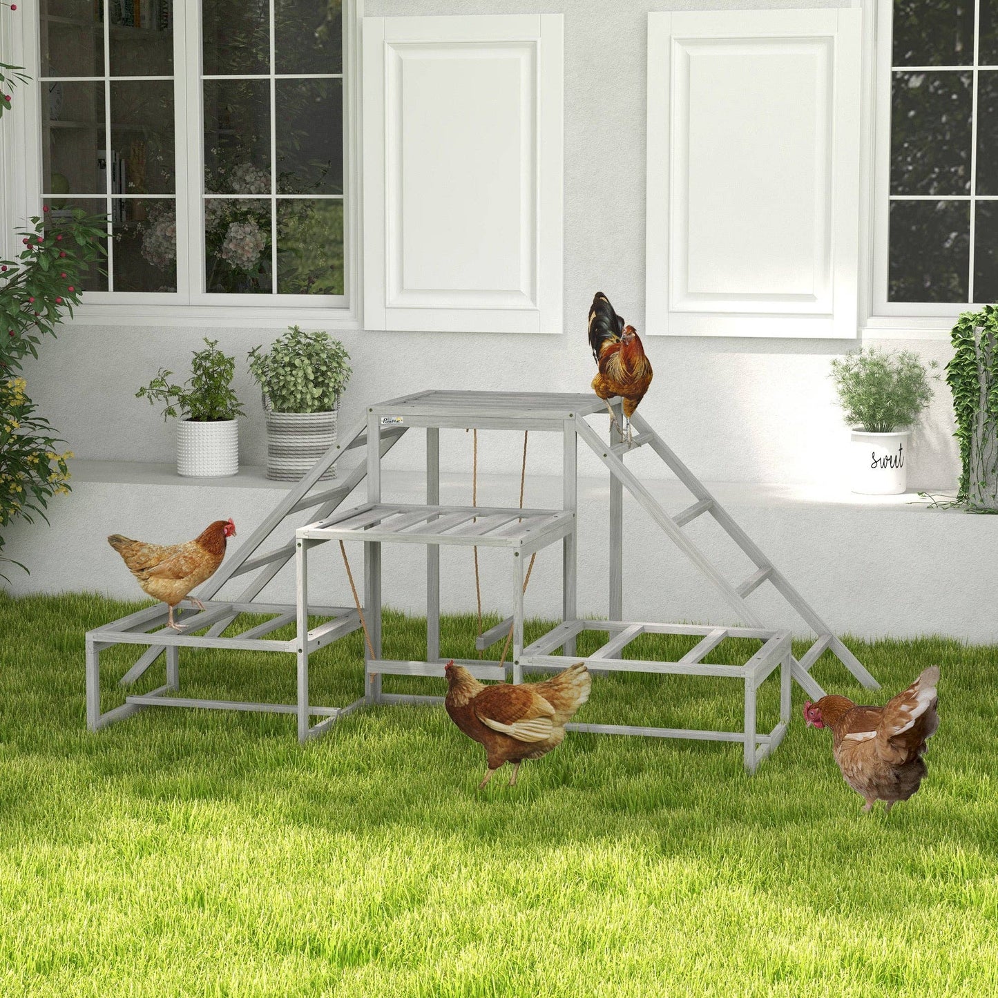 Chicken Swing & Perch Toy Set with Ladder and Platforms