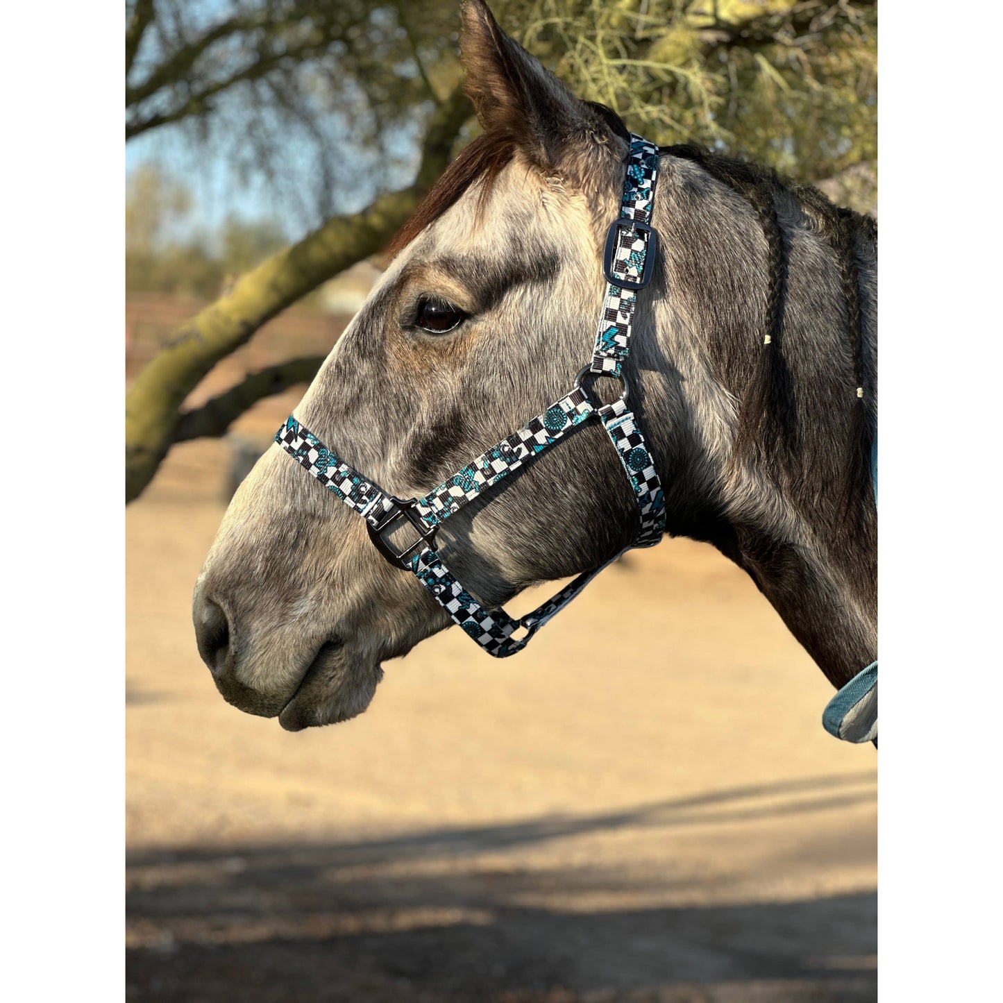 Nylon Halter - Horse Size