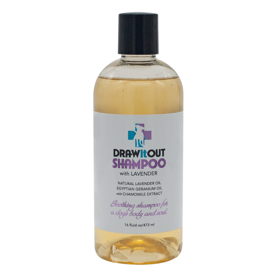 Draw it Out Horse Health Care Solutions - Wholesale Draw It Out Soothing Dog Shampoo with Lavender 16oz