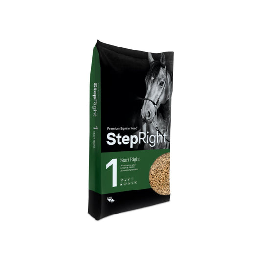 HiPro Step Right 1 Start Right 20kg