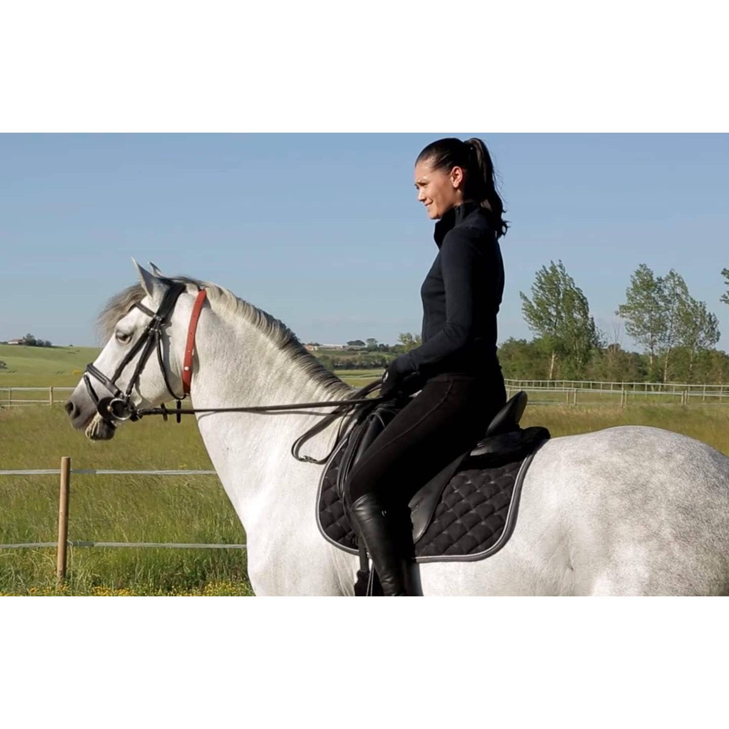 ALZOO - ALZOO™ Herbal Horse Collar