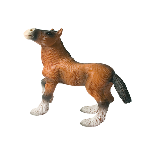 Shire Horse Foal