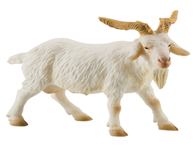 Billy Goat