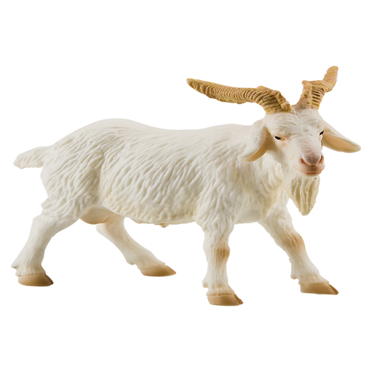 Billy Goat