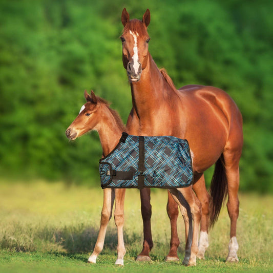 Kensington - 1200Denier Adjustable Foal "180G" Medium Weight Waterproof & Breathable Winter Turnout
