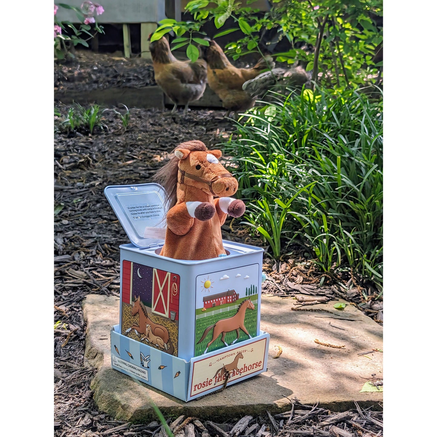 Rosie the Racehorse Jack in the Box