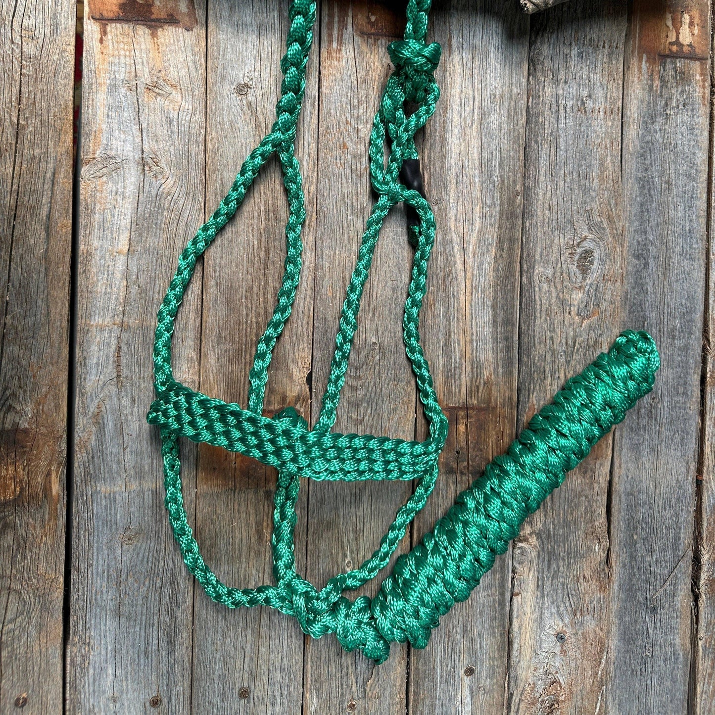 Rodeo Drive - Mule Tape Halters - Assorted Colors - Lime Option