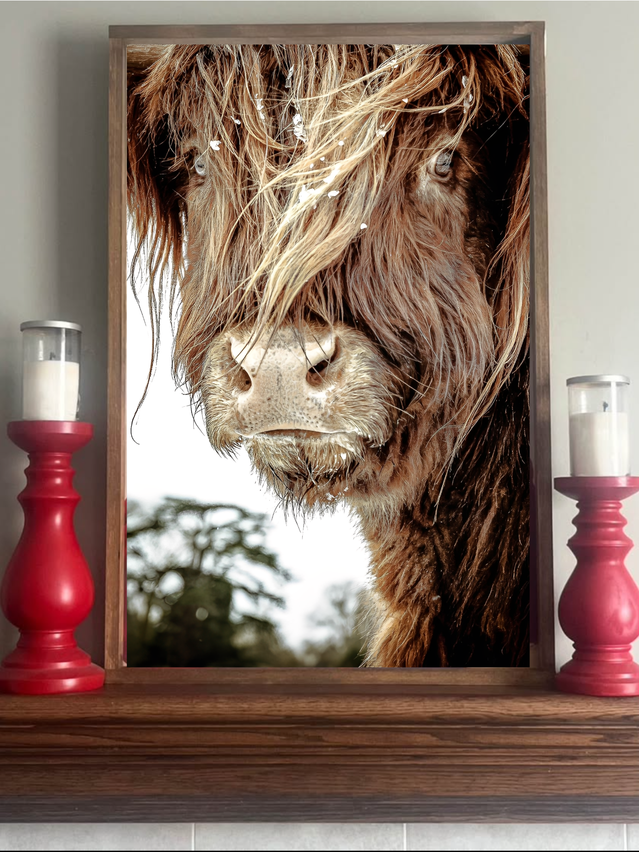 I've got Attitude Highland Cow Farmhouse Sign
