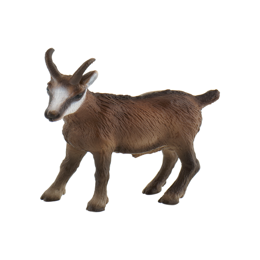 Chamois
