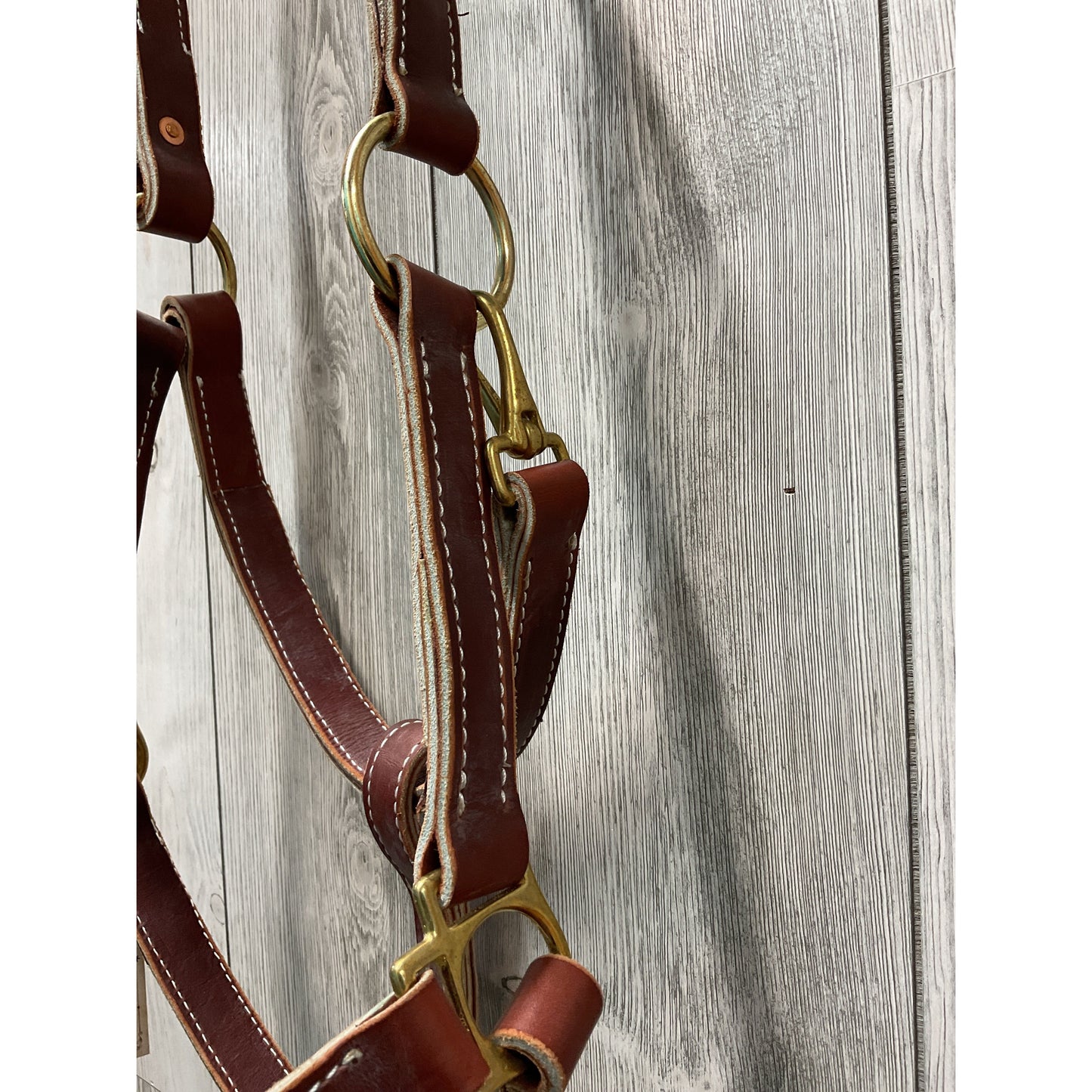 Mouse N Ruby Original Large Horse Halter