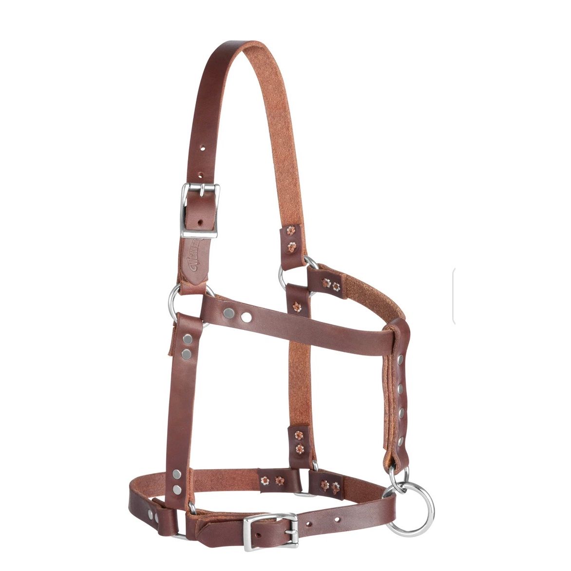 Weaver 5/8” Riveted Weanling Halter Oiled Harness Leather