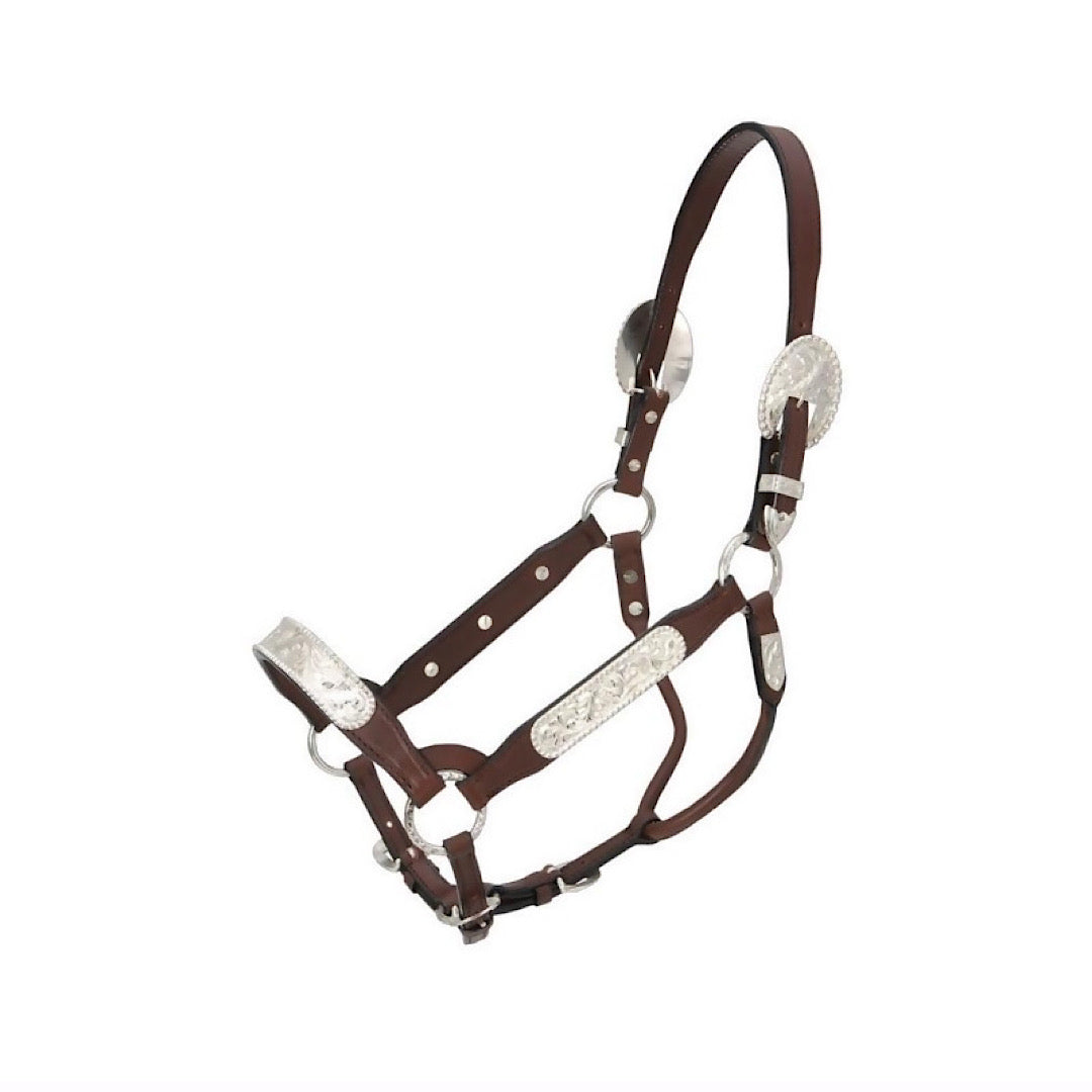 Tough 1 - Dark Oil Leather Adjustable Yearling Show Halter with Lead 18-9016