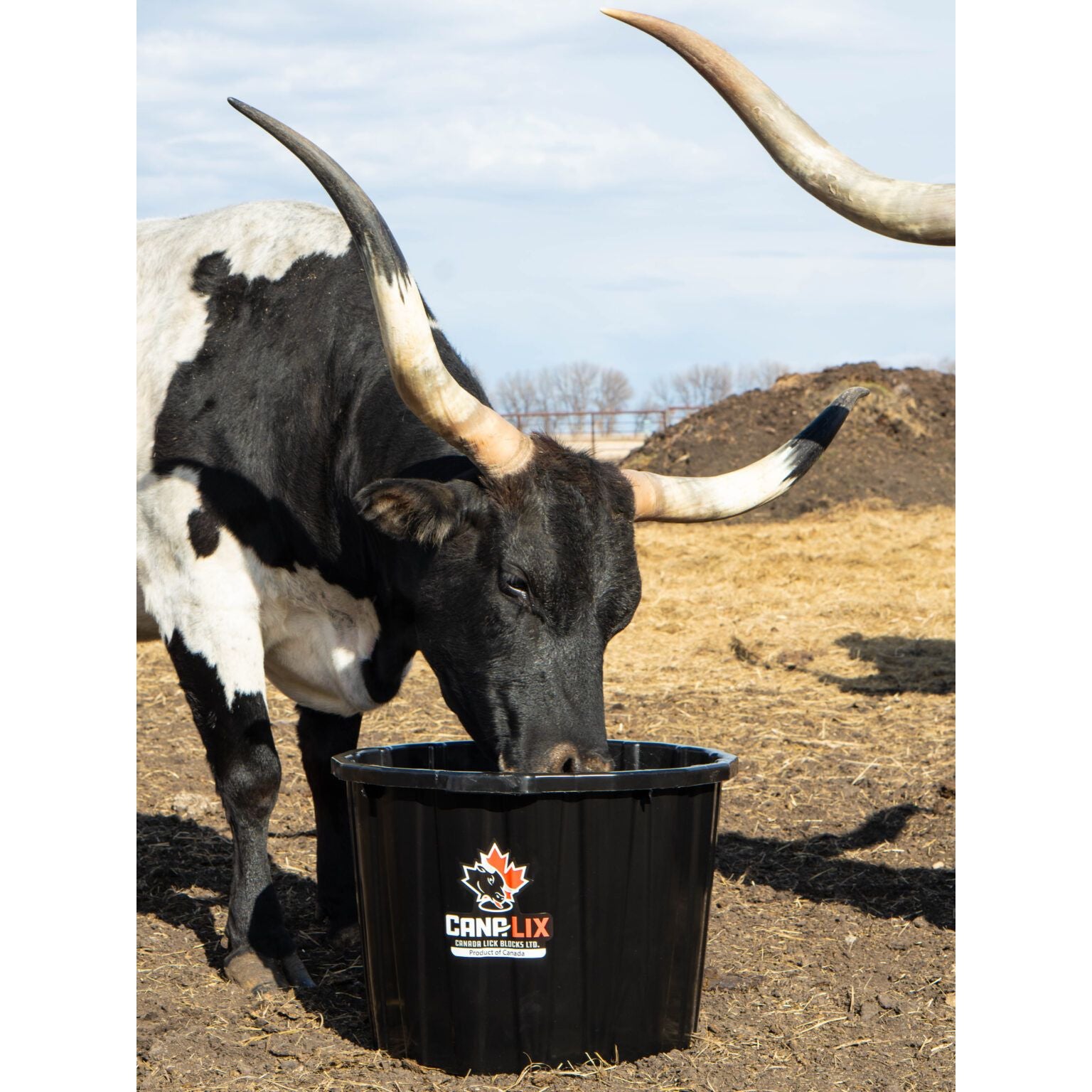 NRFM Cana-Lix 200lbs Breeder Beef Max 18% Code 229