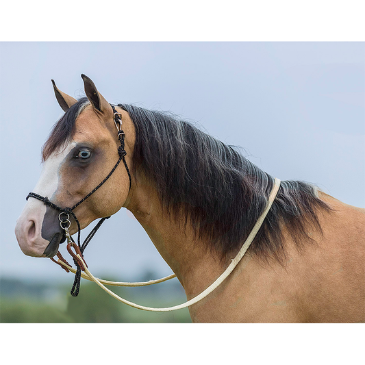 Mustang Manufacturing Black Bitless Halter Bridle