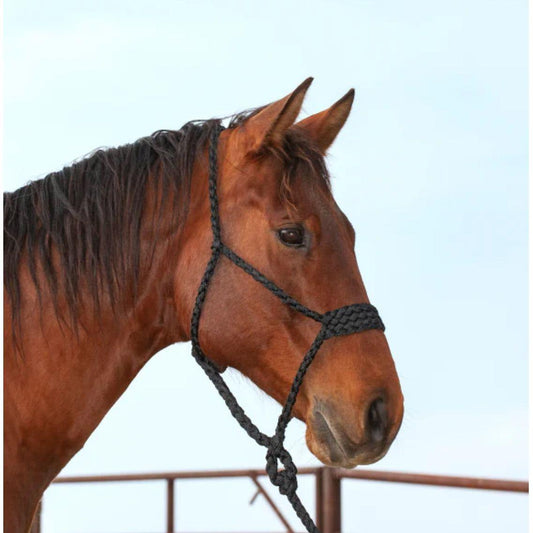 Classic Equine Wide Nose Halter, Mule Tape w/ Lead