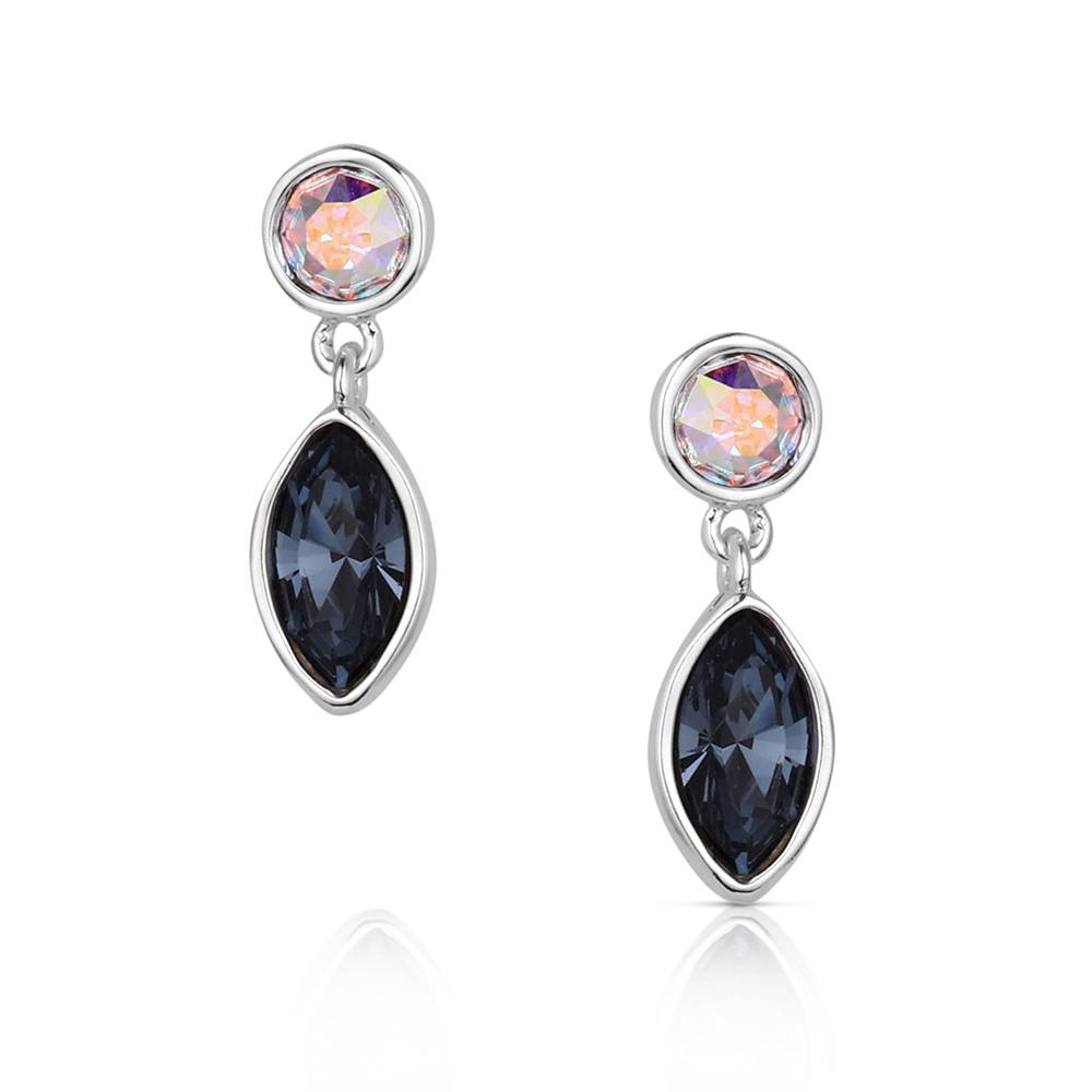 Montana Silversmith Stillwater River Earrings ER6617