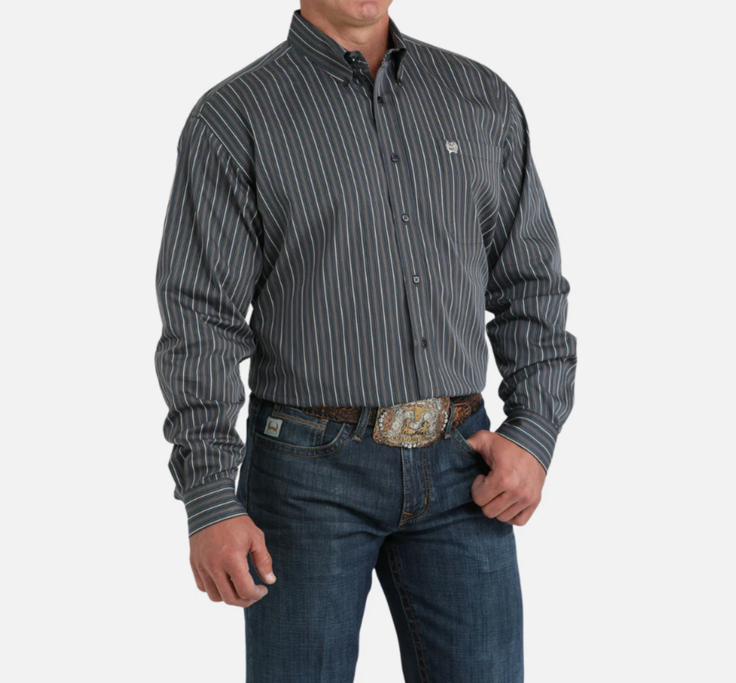 CINCH - Men LONG SLEEVE BUTTON-DOWN SHIRT, Stripe MTW1105958
